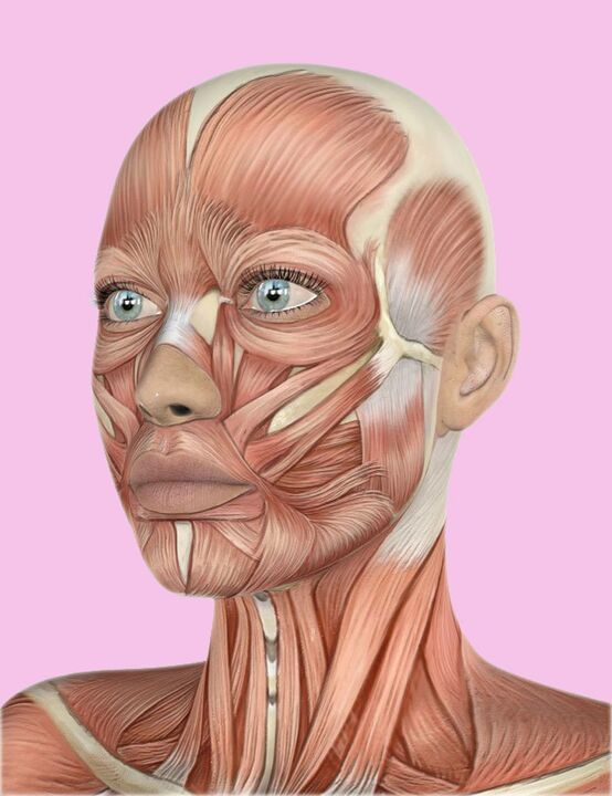 Tela facial