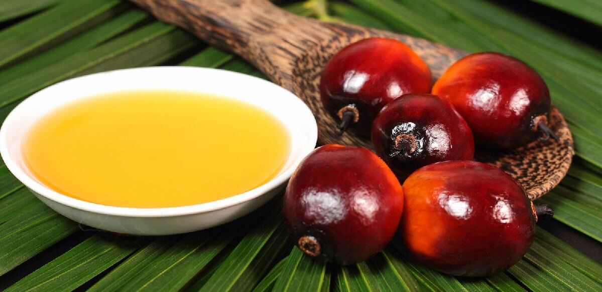 El aceite de palma renueva la epidermis