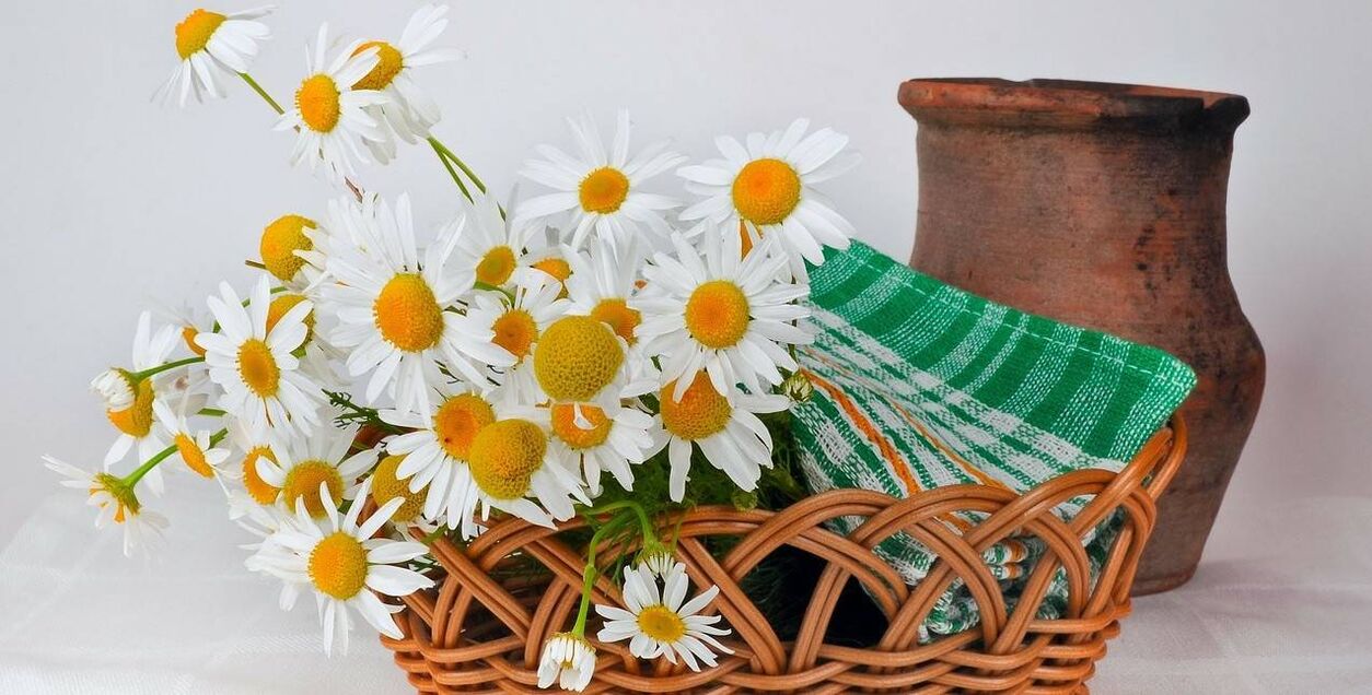 Cómo hacer un tónico con flores de manzanilla